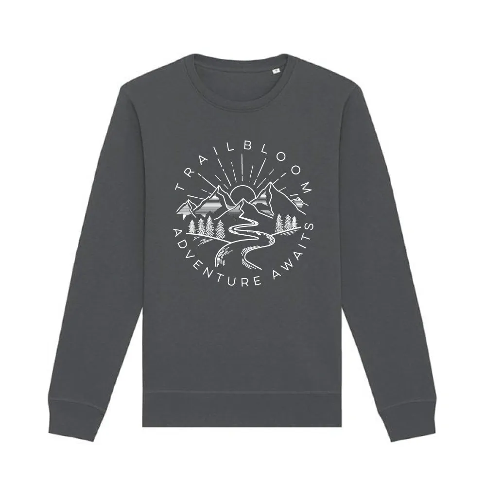 Adventure Awaits -  Ladies Sweater