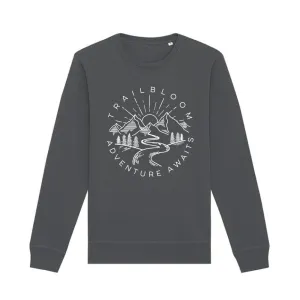 Adventure Awaits -  Ladies Sweater